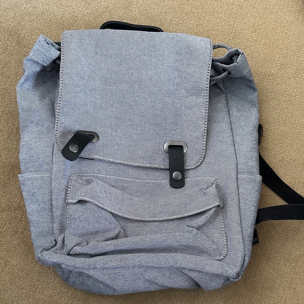 Everlane Grey Canvas commuter travel Backpack